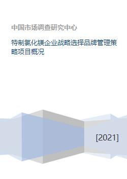 特制氯化镁企业战略选择品牌管理策略项目概况