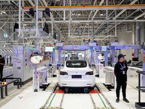 6月在华销量超过7.8万台,特斯拉满血复活